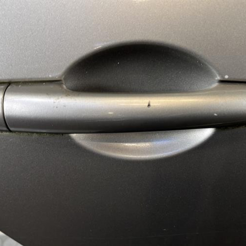 Porte arriere droit RENAULT GRAND MODUS Photo n°2