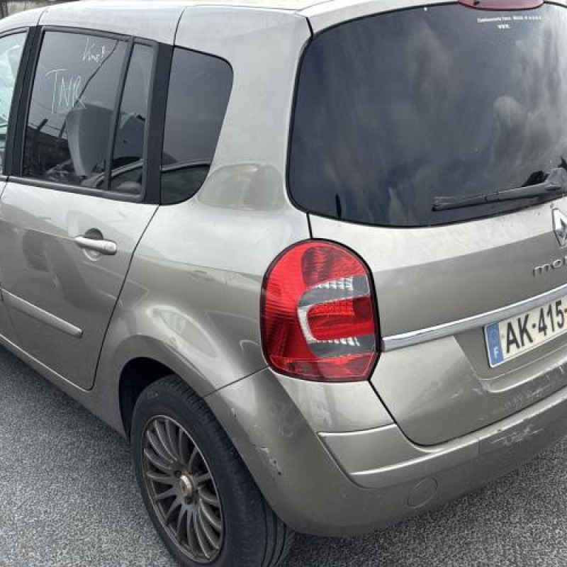 Porte arriere droit RENAULT GRAND MODUS Photo n°11