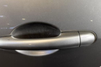 Porte arriere gauche RENAULT GRAND MODUS