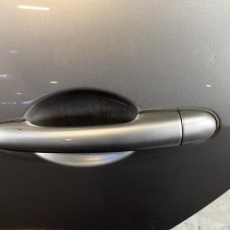 Porte arriere gauche RENAULT GRAND MODUS