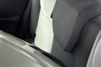 Porte arriere gauche RENAULT GRAND MODUS