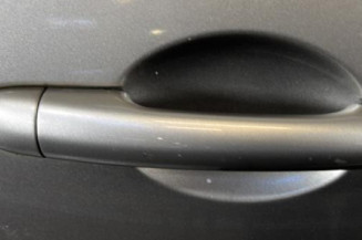 Porte avant droit RENAULT GRAND MODUS