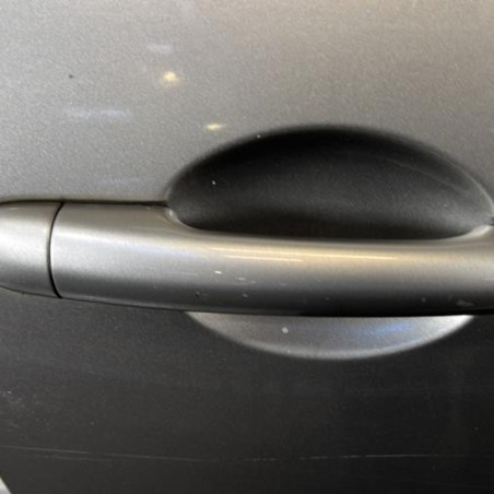 Porte avant droit RENAULT GRAND MODUS