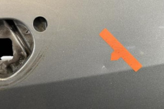 Porte avant droit RENAULT GRAND MODUS