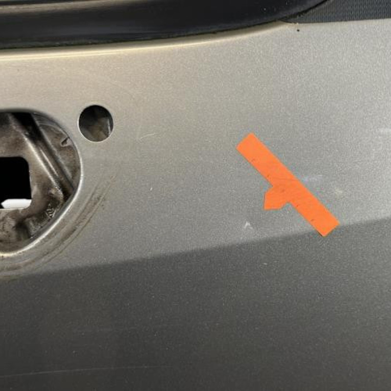 Porte avant droit RENAULT GRAND MODUS Photo n°3