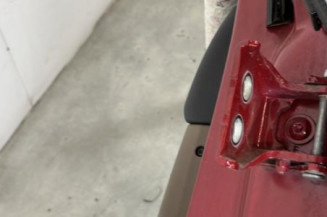 Porte arriere gauche DS DS4 1