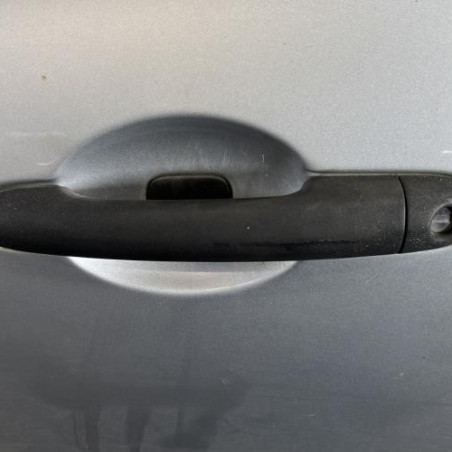 Porte avant gauche RENAULT CLIO 3