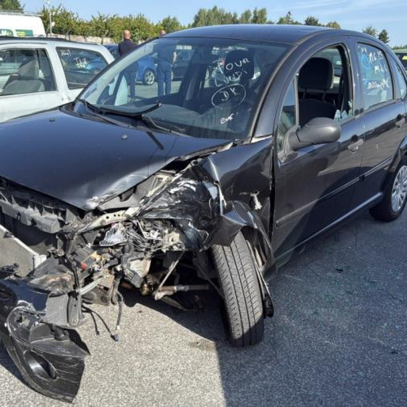 Porte avant gauche CITROEN C3 1 Photo n°9