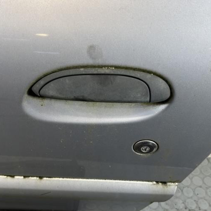 Porte avant gauche RENAULT CLIO 2 Photo n°2