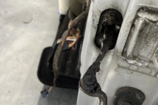 Porte avant gauche RENAULT CLIO 2