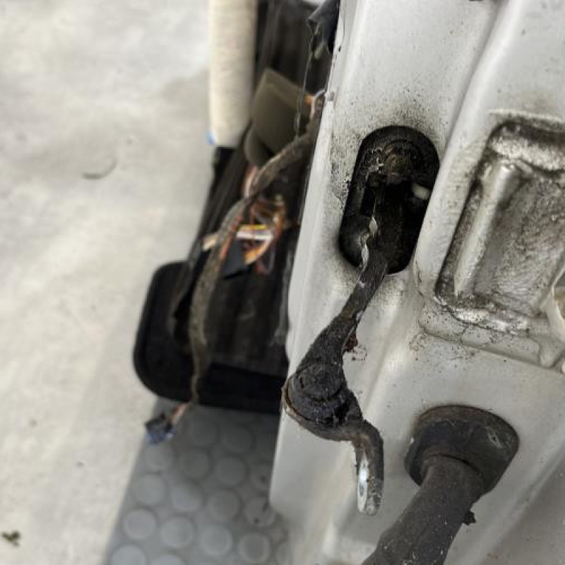 Porte avant gauche RENAULT CLIO 2 Photo n°4