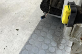 Porte avant gauche RENAULT CLIO 2