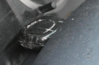 Porte avant gauche RENAULT CLIO 2