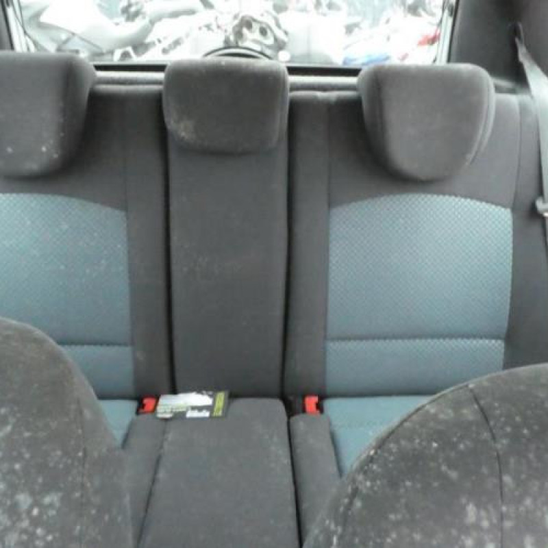 Porte avant gauche RENAULT CLIO 2 Photo n°10