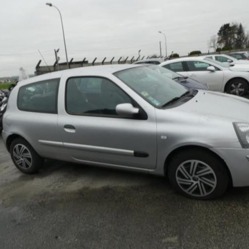 Porte avant gauche RENAULT CLIO 2 Photo n°14