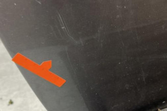 Porte avant gauche RENAULT GRAND MODUS