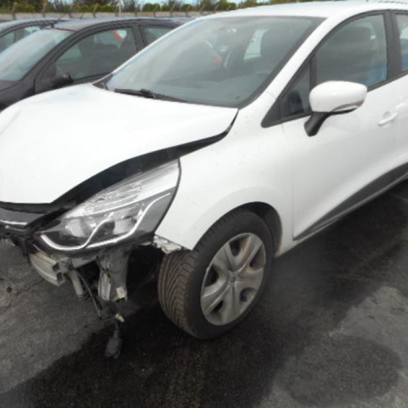 Charniere de porte arriere droit RENAULT CLIO 4 Photo n°1