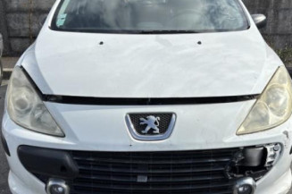 Pare soleil droit PEUGEOT 307