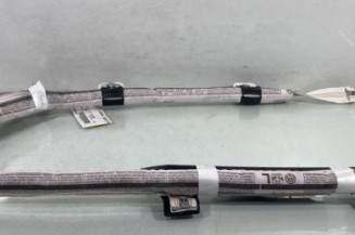 Air bag rideau gauche VOLKSWAGEN POLO 6 Photo n°1