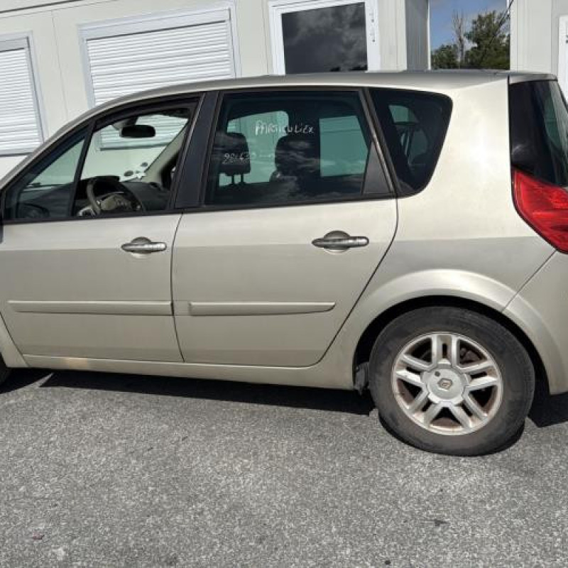 Pedale d'accelerateur RENAULT SCENIC 2 Photo n°9