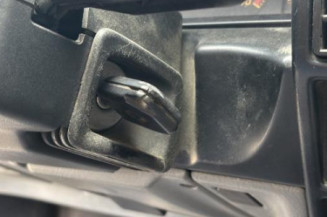 Bouton de warning RENAULT R19