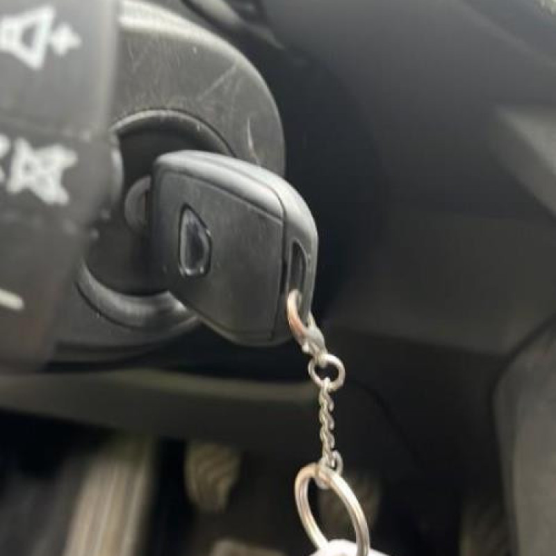 Bouton de warning DACIA SANDERO 3 Photo n°8