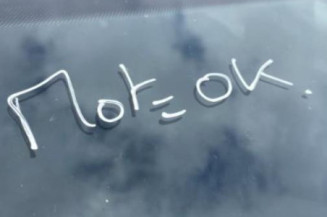 Bouton de warning DACIA SANDERO 3