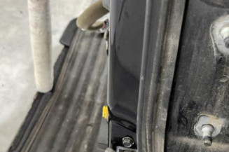 Porte arriere gauche RENAULT KOLEOS 1