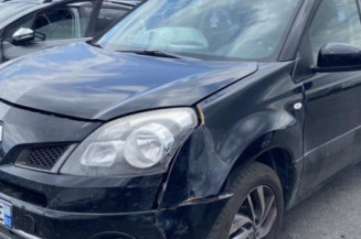 Porte arriere gauche RENAULT KOLEOS 1