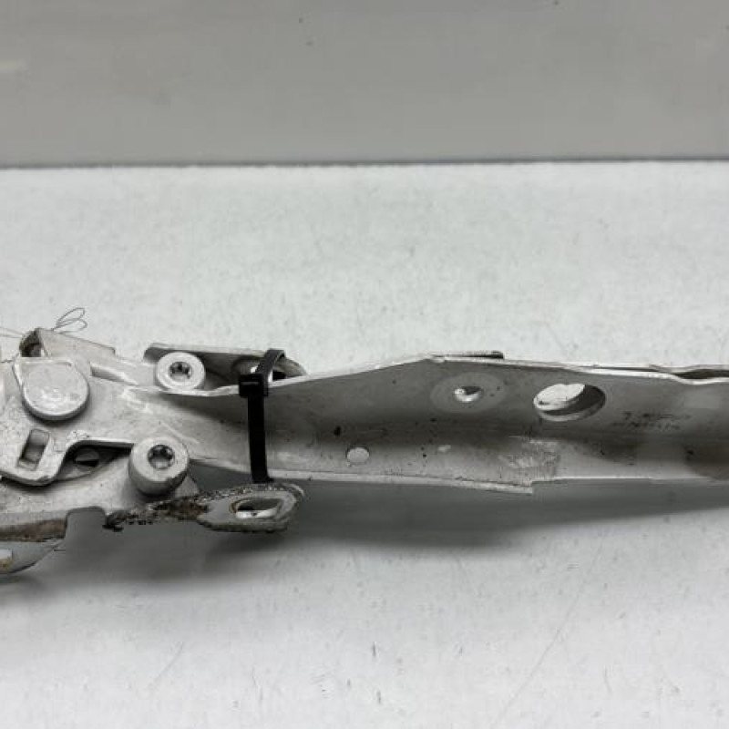 Charniere de capot CITROEN C4 PICASSO 2 Photo n°1