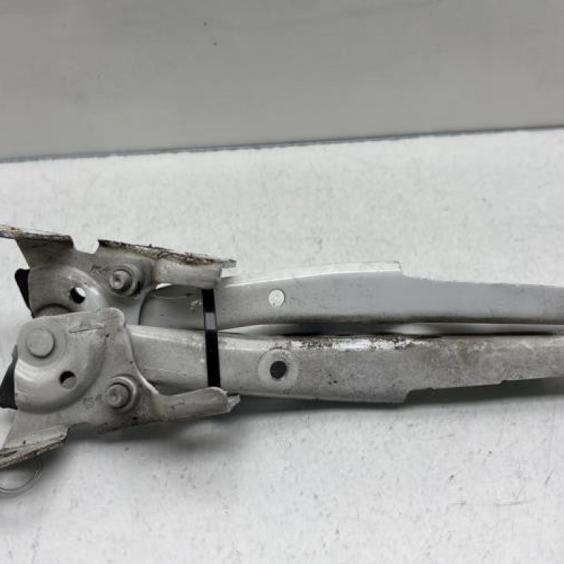 Charniere de capot CITROEN C4 PICASSO 2 Photo n°2