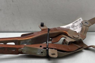 Charniere de capot PEUGEOT 2008 2 Photo n°1