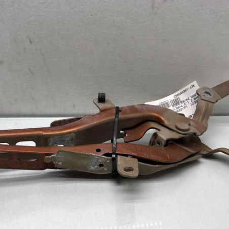 Charniere de capot PEUGEOT 2008 2 Photo n°1