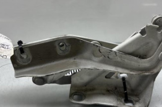 Charniere de capot FIAT QUBO Photo n°1