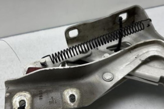 Charniere de capot FIAT QUBO