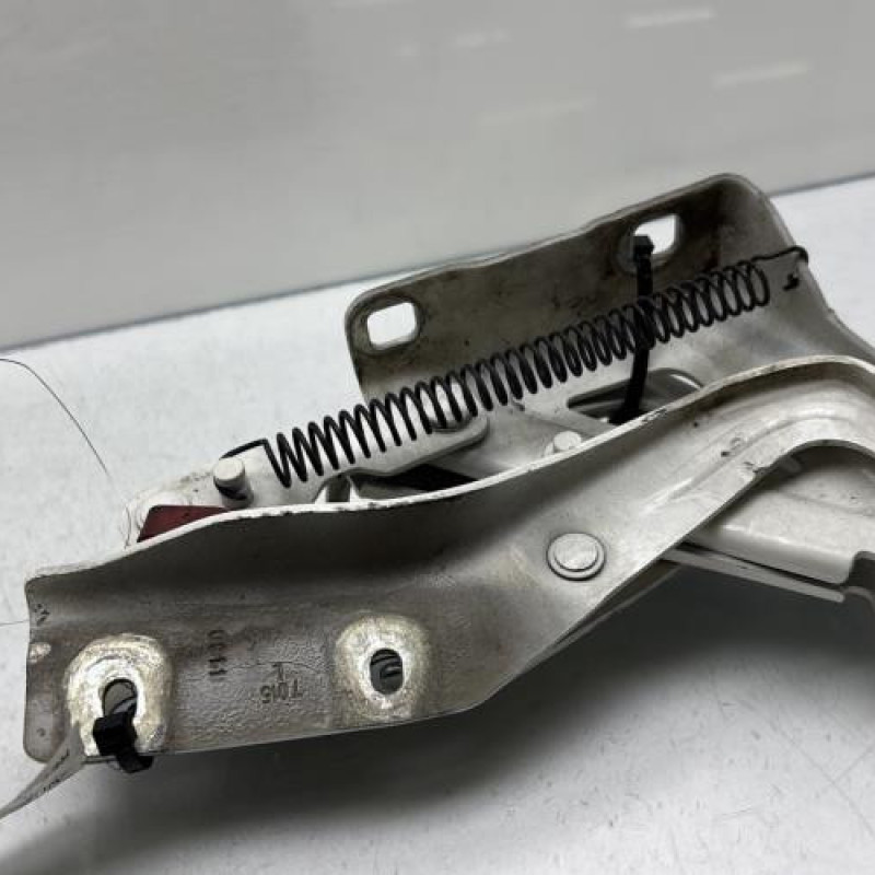 Charniere de capot FIAT QUBO Photo n°2