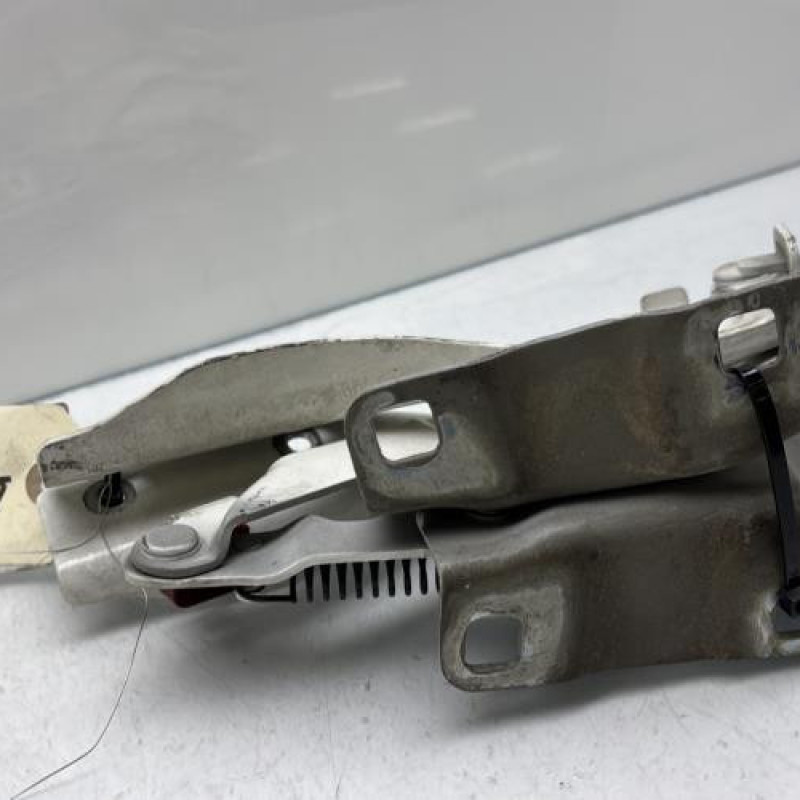 Charniere de capot FIAT QUBO Photo n°3