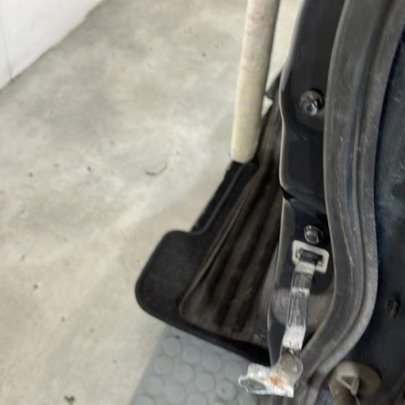 Porte avant gauche RENAULT KOLEOS 1 Photo n°2