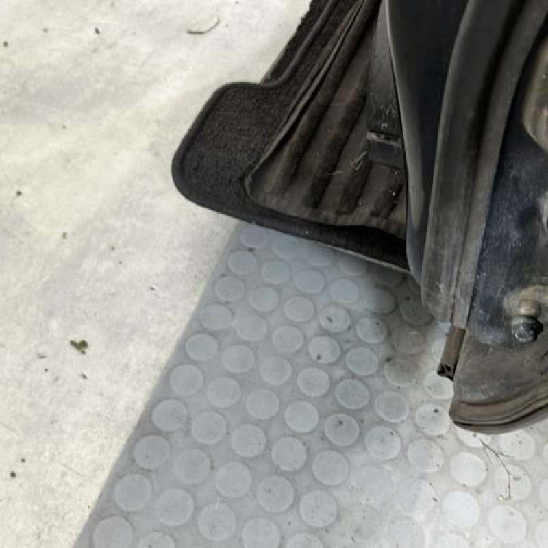 Porte avant gauche RENAULT KOLEOS 1 Photo n°3