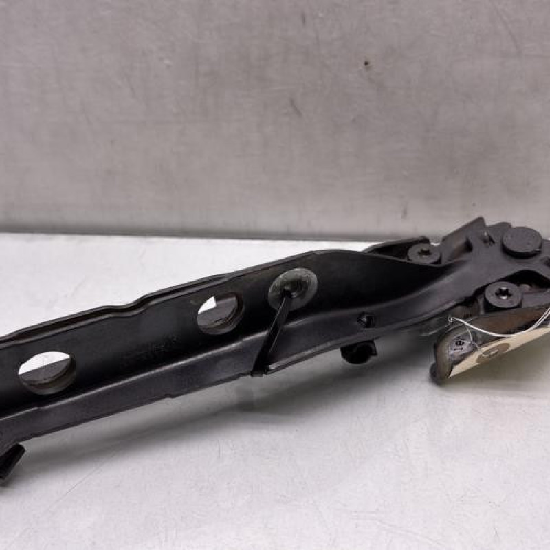 Charniere de capot CITROEN C4 PICASSO 2 Photo n°1