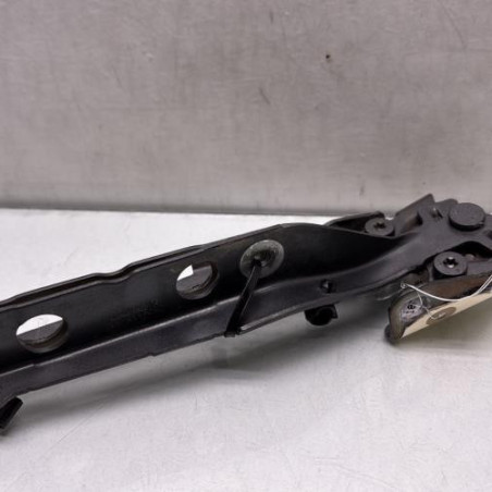 Charniere de capot CITROEN C4 PICASSO 2 Photo n°1