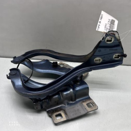 Charniere de capot RENAULT MEGANE 4