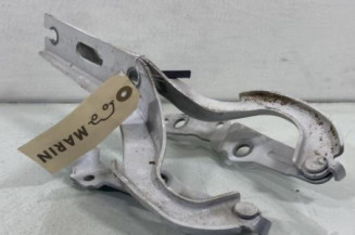 Charniere de capot VOLKSWAGEN POLO 6 Photo n°1