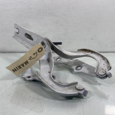 Charniere de capot VOLKSWAGEN POLO 6 Photo n°1