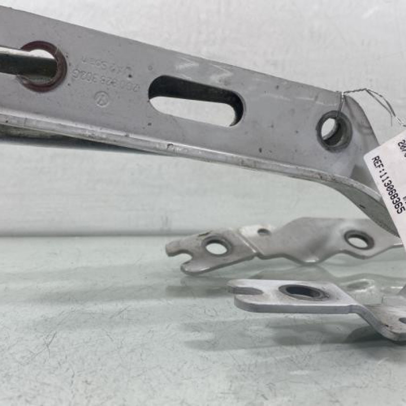 Charniere de capot VOLKSWAGEN POLO 6 Photo n°2