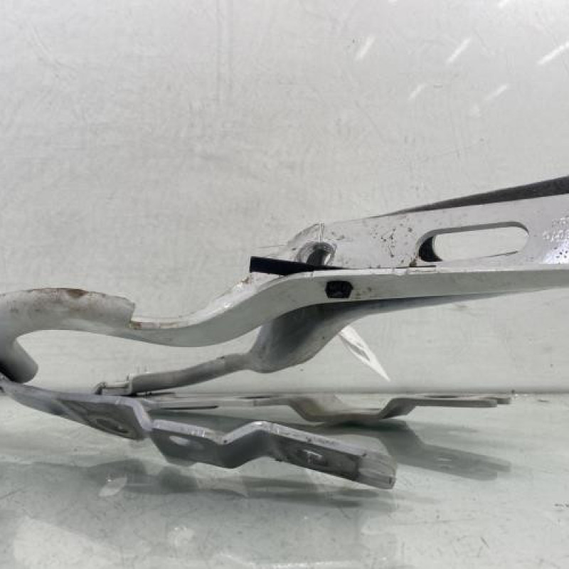 Charniere de capot VOLKSWAGEN POLO 6 Photo n°3