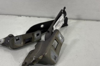 Charniere de capot PEUGEOT 508 1 Photo n°1