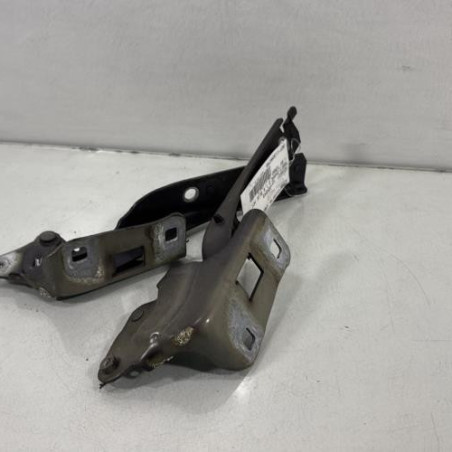 Charniere de capot PEUGEOT 508 1 Photo n°1