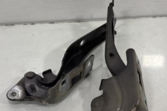 Charniere de capot PEUGEOT 508 1