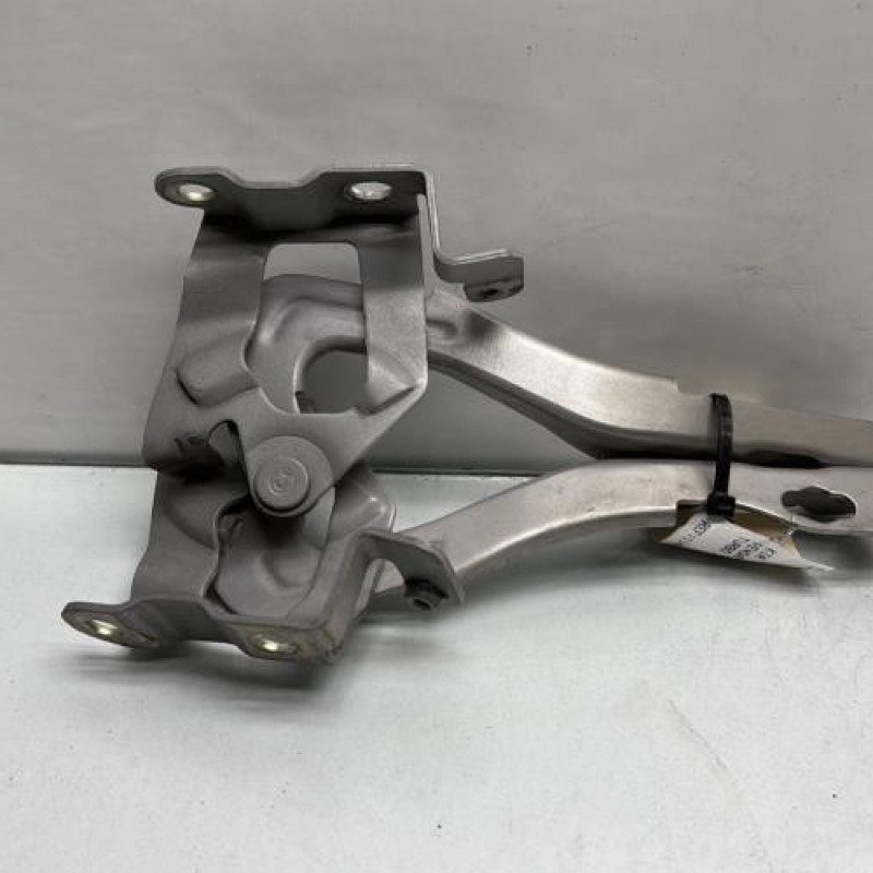 Charniere de capot KIA VENGA Photo n°3